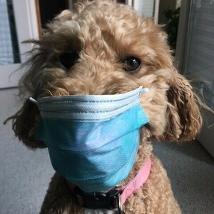 Mortgage Resource Plus Team